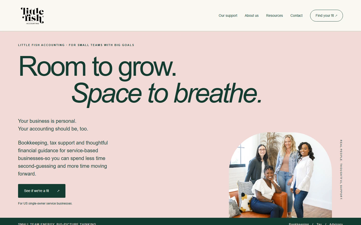 Little Fish Accounting homepage with a soft pink canvas, confident typography and team photography.